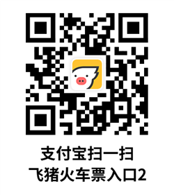 飞猪火车票劵2
