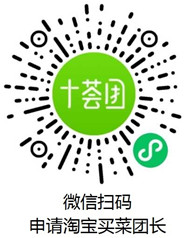 十荟团团长申请入口