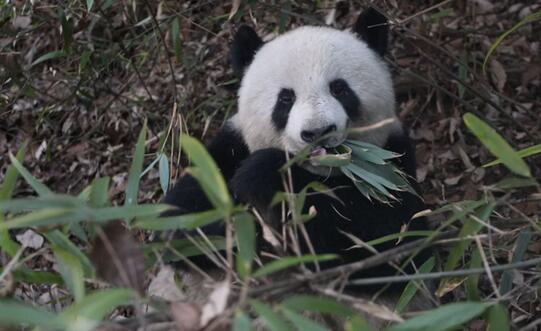  云闪付广州景区活动 云闪付广州景区优惠 云闪付知识 第1张