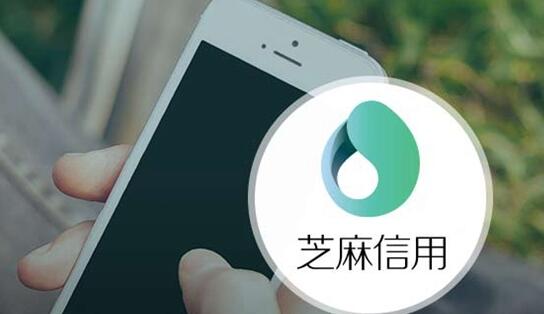 支付宝信用分怎么查看 信用分等级的分类