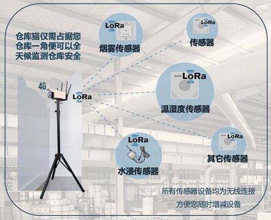 什么是淘宝仓库猫 仓库猫是什么宝贝物品