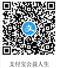 支付宝公益人生入口