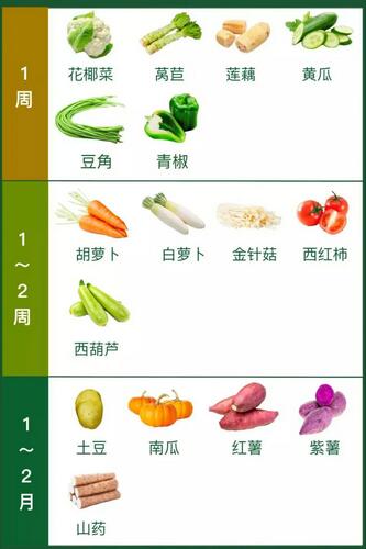  食材储存方法知识 哪些蔬菜储存时间较长 营养知识 第3张