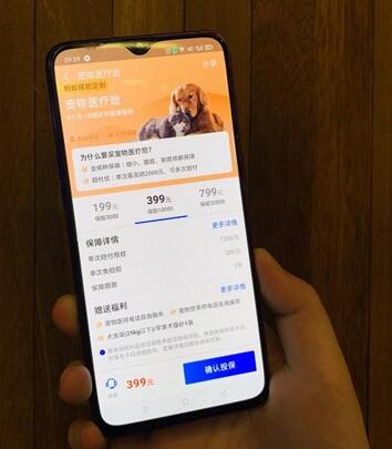 什么是支付宝宠物险 支付宝宠物险怎么样