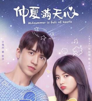 电视剧仲夏满天心歌曲集 仲夏满天心小说.jpg