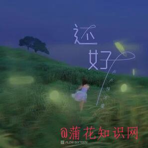 抖音我一个人还好 只是不再爱笑是什么梗.jpg