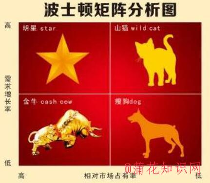 什么是波士顿矩阵法则 波士顿矩阵的含义.jpg