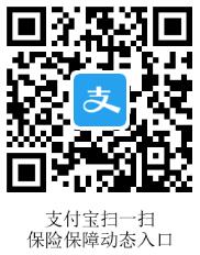 支付宝保险保障动态入口