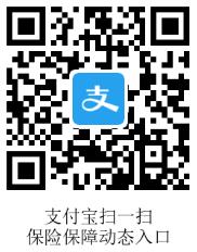 支付宝保险保障动态入口 支付宝知识 如何查看支付宝保险保障动态 支付宝知识 第2张