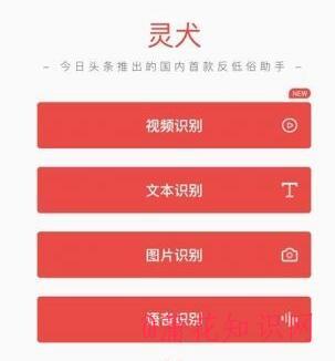 什么是今日头条灵犬 什么是抖音灵犬助手.jpg