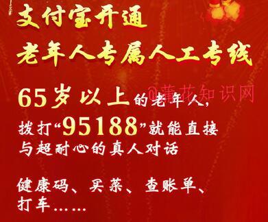 支付宝使用知识 支付宝暖洋洋专线怎么用.jpg