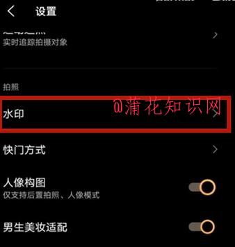 VIVO水印设置 VIVO手机如何开启水印设置.jpg