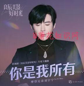 抖音偷偷掠过你目光 风轻拂过你的衣裳梗.jpg