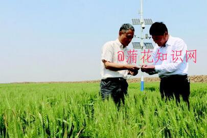 什么是农业数字革命 农业数字革命的好处.jpg