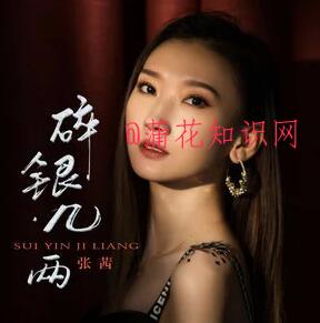 抖音看世人熙熙攘攘 慌慌张张忙忙碌碌梗.jpg