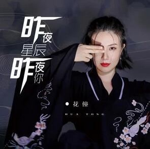 抖音昨夜星辰昨夜你 昨夜星辰昨夜你梗文.jpg