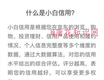 京东使用知识 什么是京东账户小白信用分.jpg 京东使用知识 什么是京东账户小白信用分 京东知识 第1张