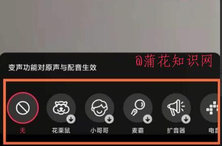 抖音使用知识 抖音短视频中变声怎么操作.jpg