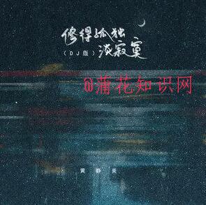 抖音万家灯火红尘一个人漂泊是什么梗文.jpg
