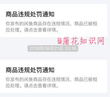 什么是闲鱼处罚期 闲鱼被封号怎么处理啊.jpg