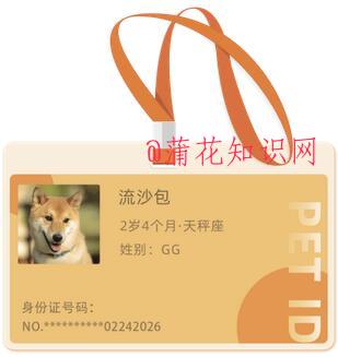 支付宝宠物身份证在哪领 萌宠身份证哪办.jpg