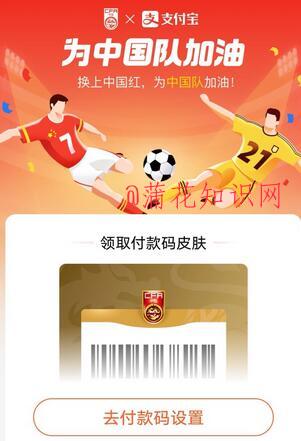 支付宝使用知识 付款码专属皮肤怎么使用.jpg
