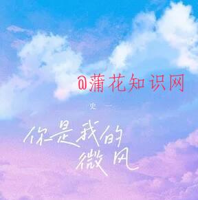 抖音你是我的微风歌词 你是我的微风歌曲