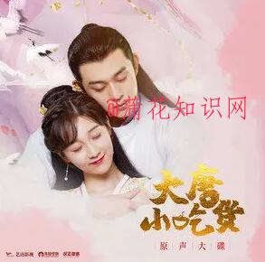 网剧大唐小吃货歌曲集 大唐小吃货主题曲.jpg