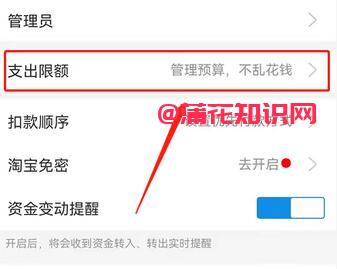 支付宝使用知识 支付宝小荷包支出咋调整.jpg