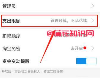支付宝使用知识 支付宝小荷包支出咋调整