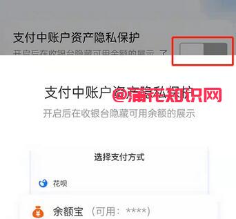 支付宝使用知识 支付宝账户余额如何隐藏.jpg
