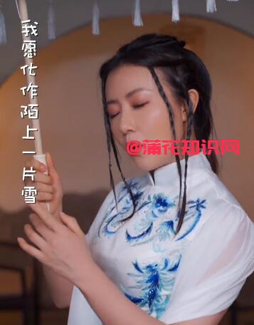 抖音否了却别离 我愿化作陌上一片雪梗文.jpg