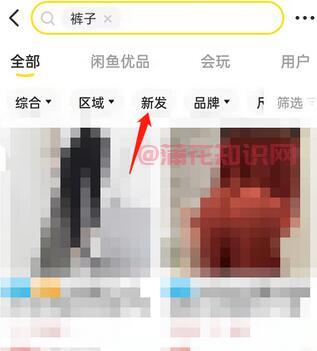 闲鱼使用知识 闲鱼如何查找最新发布商品