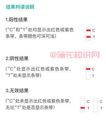 粤抗原用法 粤抗原小程序怎么看自测结果 