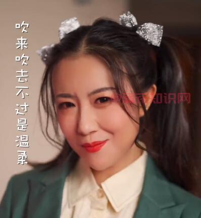 抖音西风吹我心头 吹来吹去不过是温柔梗.jpg 抖音西风吹我心头 吹来吹去不过是温柔梗 歌曲指南 第1张