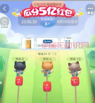 天猫喵运会活动规则 天猫喵运会活动玩法.jpg