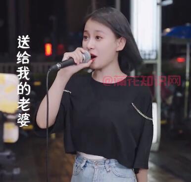 抖音唱一首情歌 送给我的老婆是什么歌曲