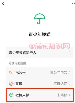 微信使用知识 微信青少年限额支付怎么用.jpg 微信使用知识 微信青少年限额支付怎么用 腾讯微信 第1张