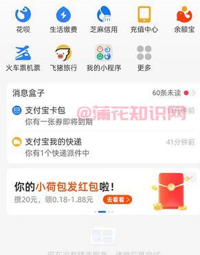 支付宝使用知识 支付宝简洁模式在哪打开.jpg