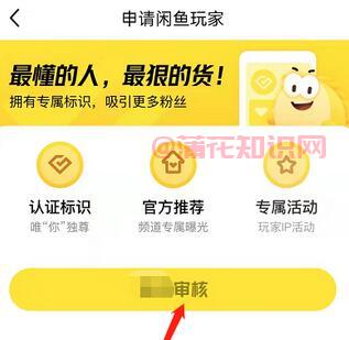 什么是闲鱼玩家认证 闲鱼玩家认证怎么弄.jpg