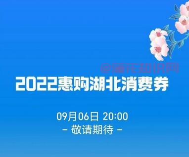 2022年湖北消费劵 湖北消费劵第二轮时间