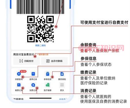 支付宝使用知识 医保个人账户查询怎么用