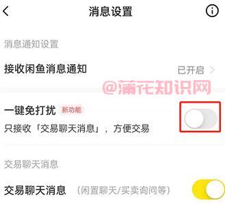 闲鱼使用知识 闲鱼一键免打扰在哪里设置.jpg