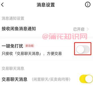 闲鱼使用知识 闲鱼一键免打扰在哪里设置