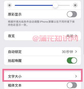 苹果手机知识 苹果手机怎么设置文字大小