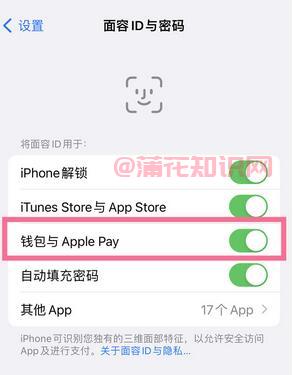 苹果手机知识 苹果手机面容支付怎么使用