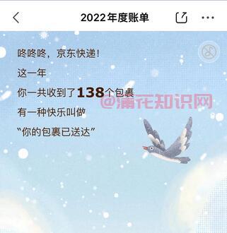 闲鱼使用知识 2022年京东年度账单在哪看.jpg 京东使用知识 2022年京东年度账单在哪看 京东知识 第1张