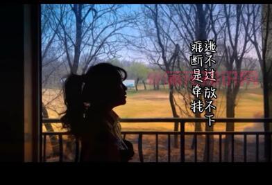 抖音梦中人镜中花是谁负了她 是什么歌曲