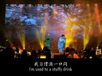 抖音我习惯酒一口闷只醉三分 是什么歌曲