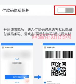支付宝使用知识 支付宝可以隐藏付款码吗
